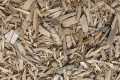 biomass boilers Culduie